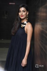 Anisha Ambrose At Vunnadhi Okate Zindagi Movie Audio Launch